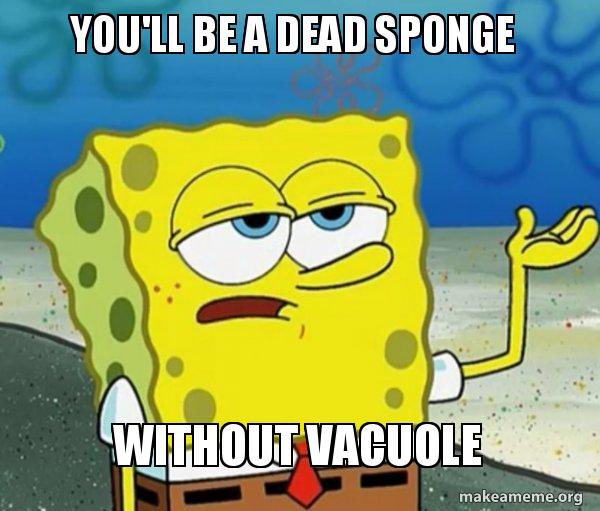 thecelldepot_'s tweet photo. Without me living things would die of dehydration and malnourishment.  #votecentralvacuole https://t.co/RT9Bo4Etp6