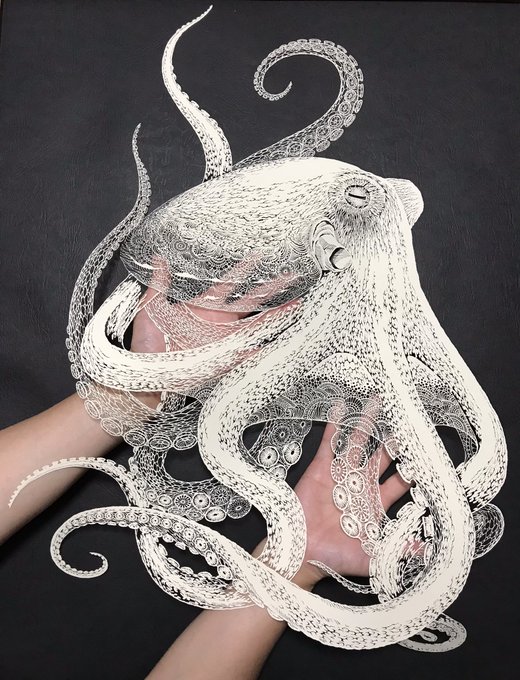 A2サイズの紙で海蛸子を作った時「こんな大きな紙で切り絵を作るなんて果てしない…」とまだラフ画も描いてない紙を見て途方に暮れていたけど、A1で昂然や鳳凰を製作した今A2サイズの蛸が可愛く思えてくる。
1枚目「海蛸子」
2枚目「昂然」
3枚目「鳳凰」
#切り絵 