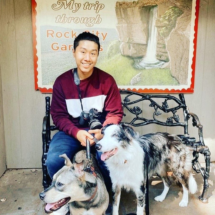 SeeRockCity's tweet photo. Head over to our @seerockcity IG page for more of the cutest pup pics ever  

#GoCookForYourPetsDay #dogsofrockcity 

IG 📷: toria.english https://t.co/rId02zvqGV