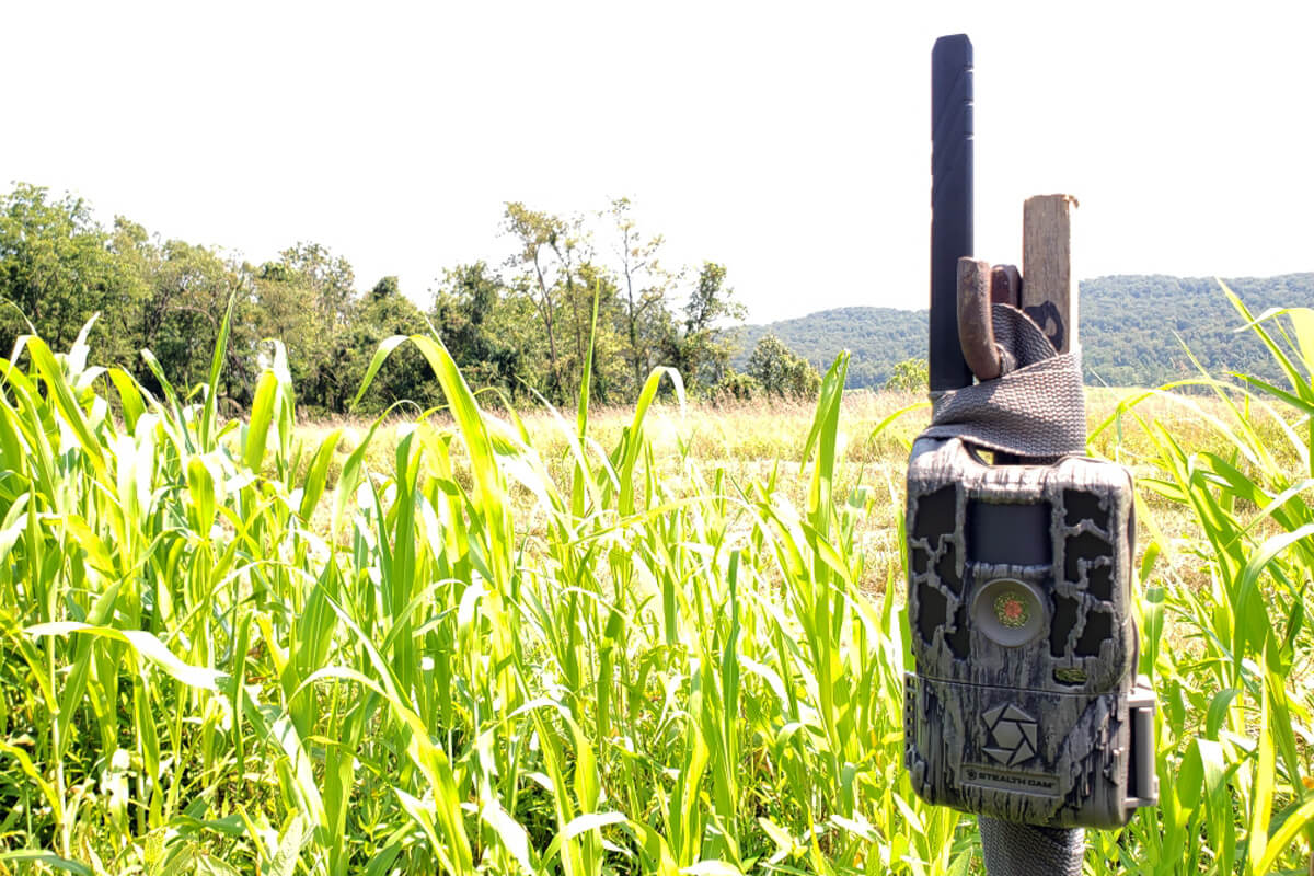 OUTDChannel's tweet photo. Check out the latest product review of the Stealth Cam Reactor at https://t.co/FxKAcDcIHn.
#CellCamera #TrailCamera #HuntingTechnology #StealthCam #Reactor https://t.co/8gm5dVFy0X
