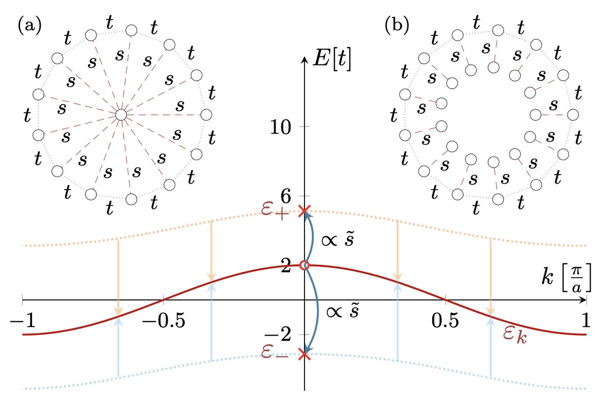 FelixAPalm's tweet photo. In our latest collaboration, led by Bachelor student 
@RejaWilke, we studied Bose-Einstein condensation on a wheel 🎡 and found hardcore bosons to condense at tunable momentum in the presence of arbitrarily small, modulated hopping to the center site: https://t.co/V3EQLvxoJ8 https://t.co/kdXc6DpdJE