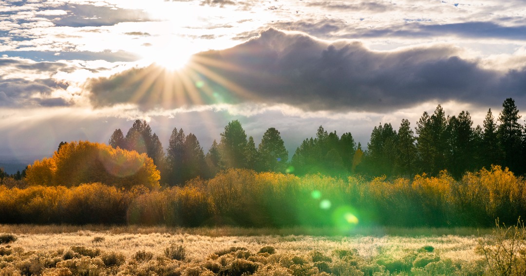 DesLandTrust's tweet photo. Enjoy this stunning fall photo from @wasimofnazareth to sweeten up your Monday!
πIndian Ford Meadow Preserve
#fallinOregon #CentralOregon #lovewhereyoulive #Protectwhatyoulove https://t.co/WlJhhTckqv