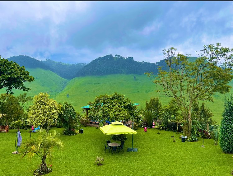 BabuuBabs's tweet photo. J’avoue que la beauté est à coupé le souffle. RD.Congo 🇨🇩

#Algerie #Africa #African #Congo #COP26 #word #Monde #Cameroon #BurkinaFaso #Brazil #USA #Europe #ONU #NaturePhotography #nature #AfricaDay #tourist #BeautesEnHerbe #france #Kinshasa #RDC https://t.co/XGDYROE31p