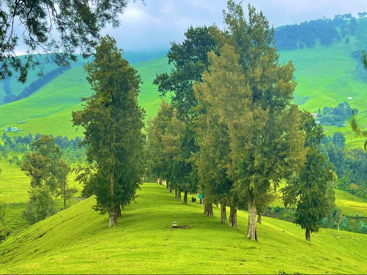 BabuuBabs's tweet photo. J’avoue que la beauté est à coupé le souffle. RD.Congo 🇨🇩

#Algerie #Africa #African #Congo #COP26 #word #Monde #Cameroon #BurkinaFaso #Brazil #USA #Europe #ONU #NaturePhotography #nature #AfricaDay #tourist #BeautesEnHerbe #france #Kinshasa #RDC https://t.co/XGDYROE31p