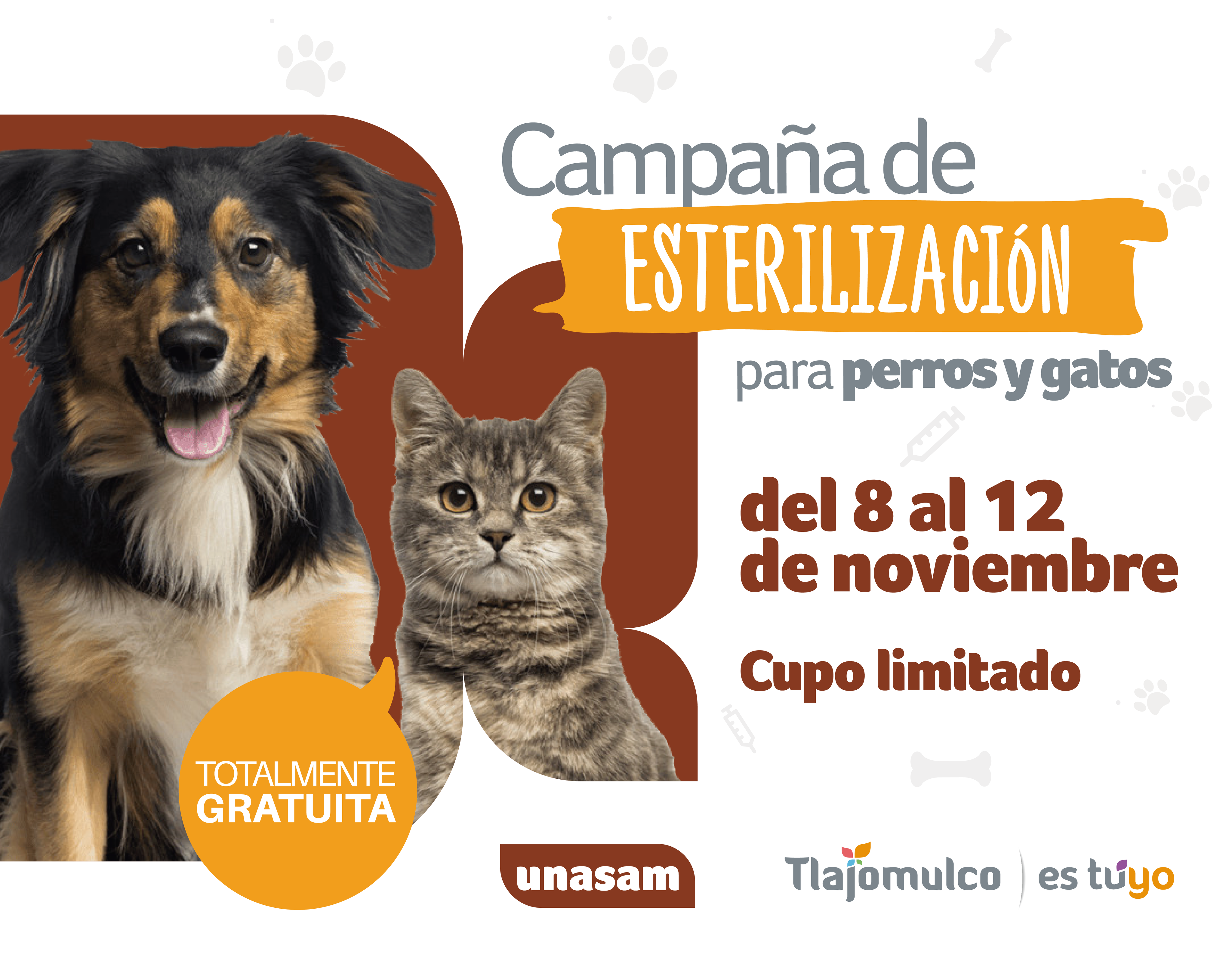 Gobierno Tlajomulco al Twitter: "🐾🐶 Arrancaremos con una campaña de  esterilización gratuita para perros y gatos que se hará en las  instalaciones de la #UNASAMTlajomulco del 8 al 12 de noviembre en