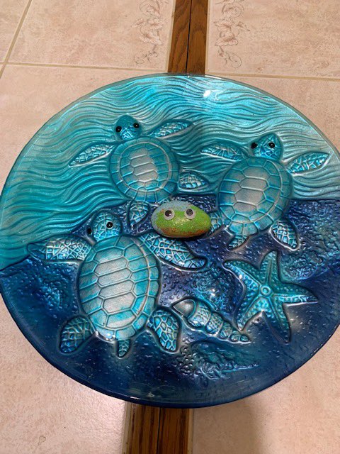 farfromseven's tweet image. Last week I tweeted how some of our 1st grade students painted Happiness Rocks and then sent them out to spread some orange…the first rock has landed! This rock is happily swimming with turtles in Texas!  #NewvilleCARES #BSSDProud