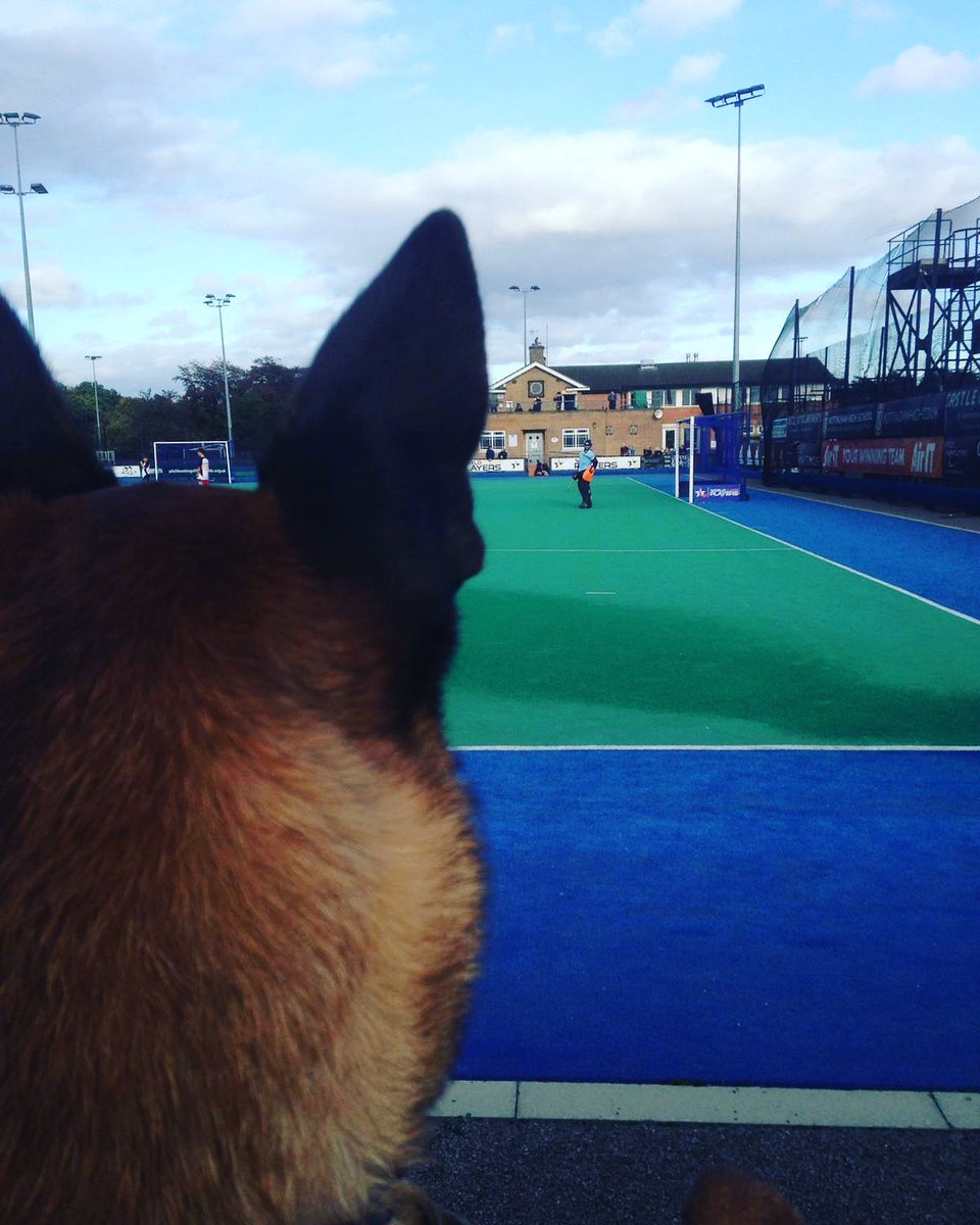 Codo pup and Joshua (Y9) at UK Lions camp in Nottingham this half term! <a href="/CheadleHulmeSch/">Cheadle Hulme School</a> <a href="/AthesAthlete/">Matthew Barlow</a>