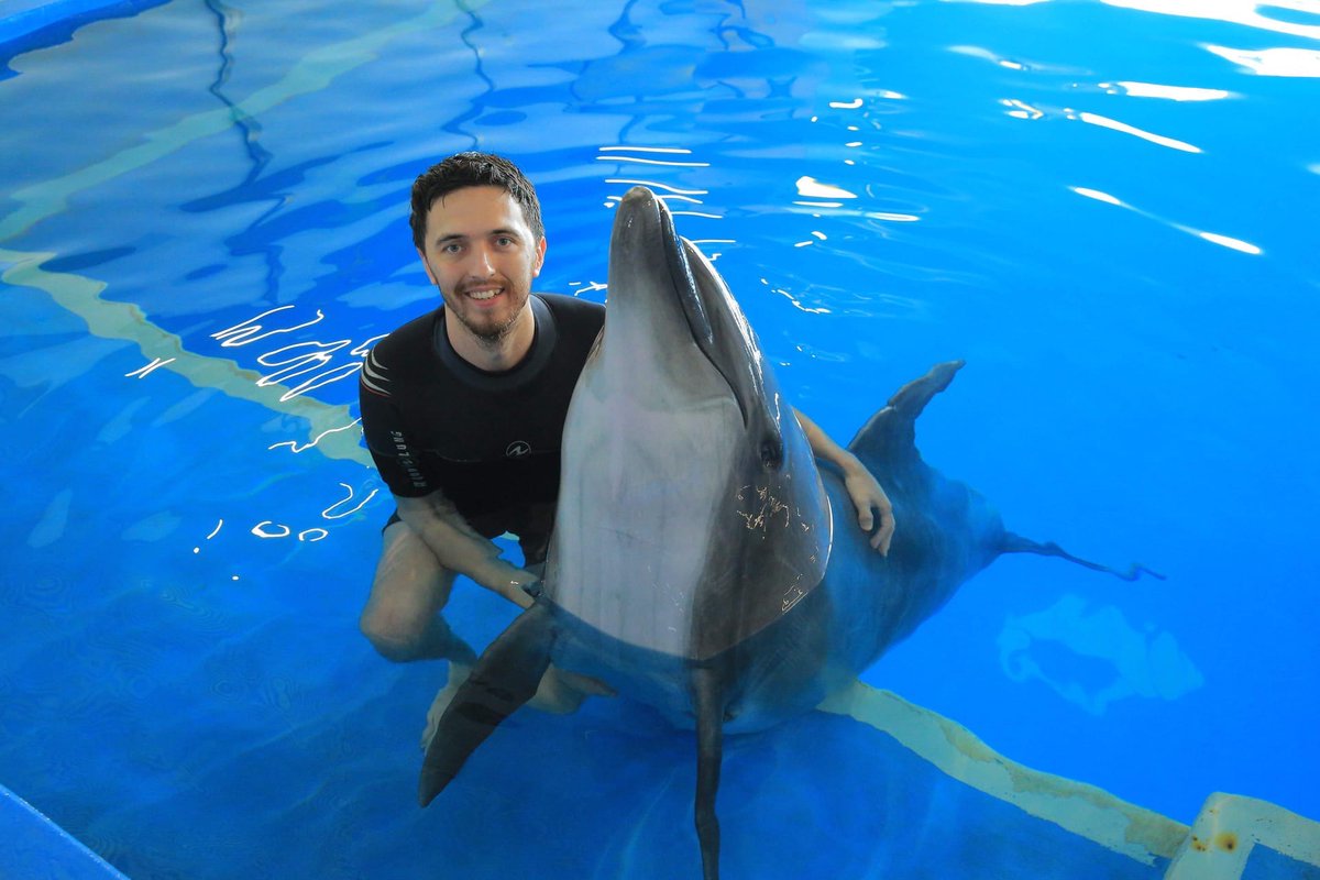 Proklyatya's tweet photo. Знакомьтесь - Муза - представитель дельфиньего сообщества)

Удивила кожа - на ощупь похожа на какой-то мягкий пластик, при этом верхний ее слой обновляется за 2 дня

И кстати их мозг содержит больше извилин чем у большинства людей 😅 https://t.co/BKTO1vkXbL