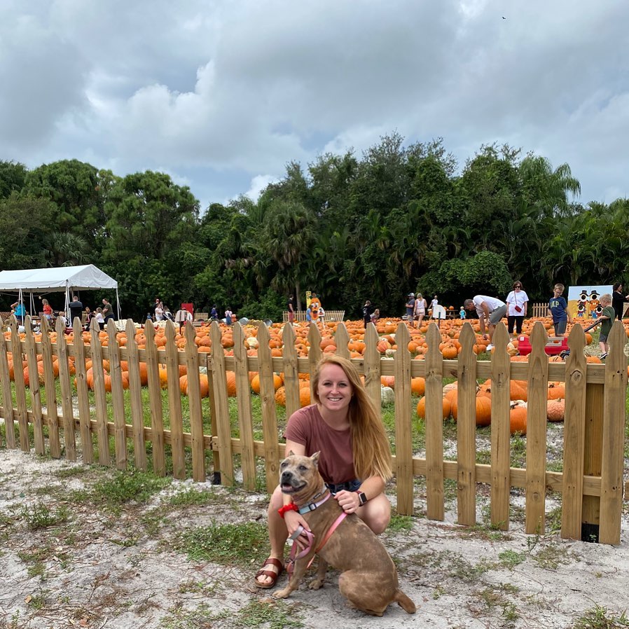FriendsWithDogs's tweet photo. Update: In our latest podcast, we talk with Michelle Holsinger from Mutty Paws Rescue Inc, which saved the life of a neglected, abused, and nearly starved dog who was at death’s door. Don’t miss her inspiring story! Listen at https://t.co/aGRLtUSNL6 or via your podcast provider. https://t.co/77lnNX2Lve