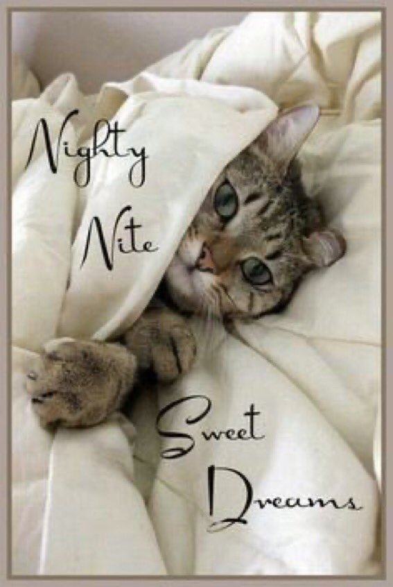 Good night to all you beautiful people hope you have enjoyed your day have a peaceful night sleep well sweet dreams stay safe see y’all tomorrow hugs 😊🫂💞😴😴🌛🌛💤💤🥱🥱🌝🌝🌜🌜🦉🦉🛌🛌☺️☺️☺️☺️🥰🥰🥰🥰🥰🥰🥰🥰🥰