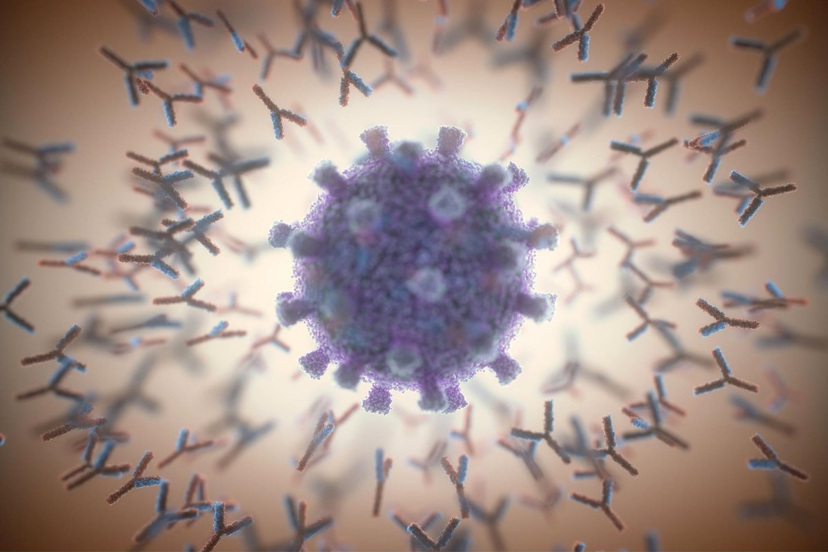 $VIR: Inescapable covid monoclonal antibody. Soon to be in IM shot form via /r/wallstreetbets #stocks #wallstreetbets #investing

https://t.co/o4STs81Re1

#investing #robinhood https://t.co/qgjwJCFC06