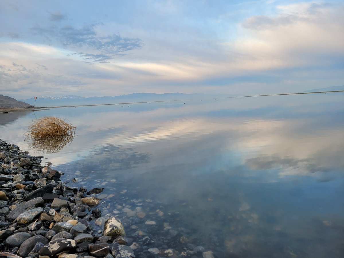 GreatSaltLakeSP's tweet photo. The lake was pretty still this morning
Caught some nice reflections
#GreatSaltLakeStatePark #GreatSaltLakeStateParkandMarina #GreatSaltLakeSP #GSLSP #UtahStateParks
#glass #MirrorWater https://t.co/28ye4fo2hJ