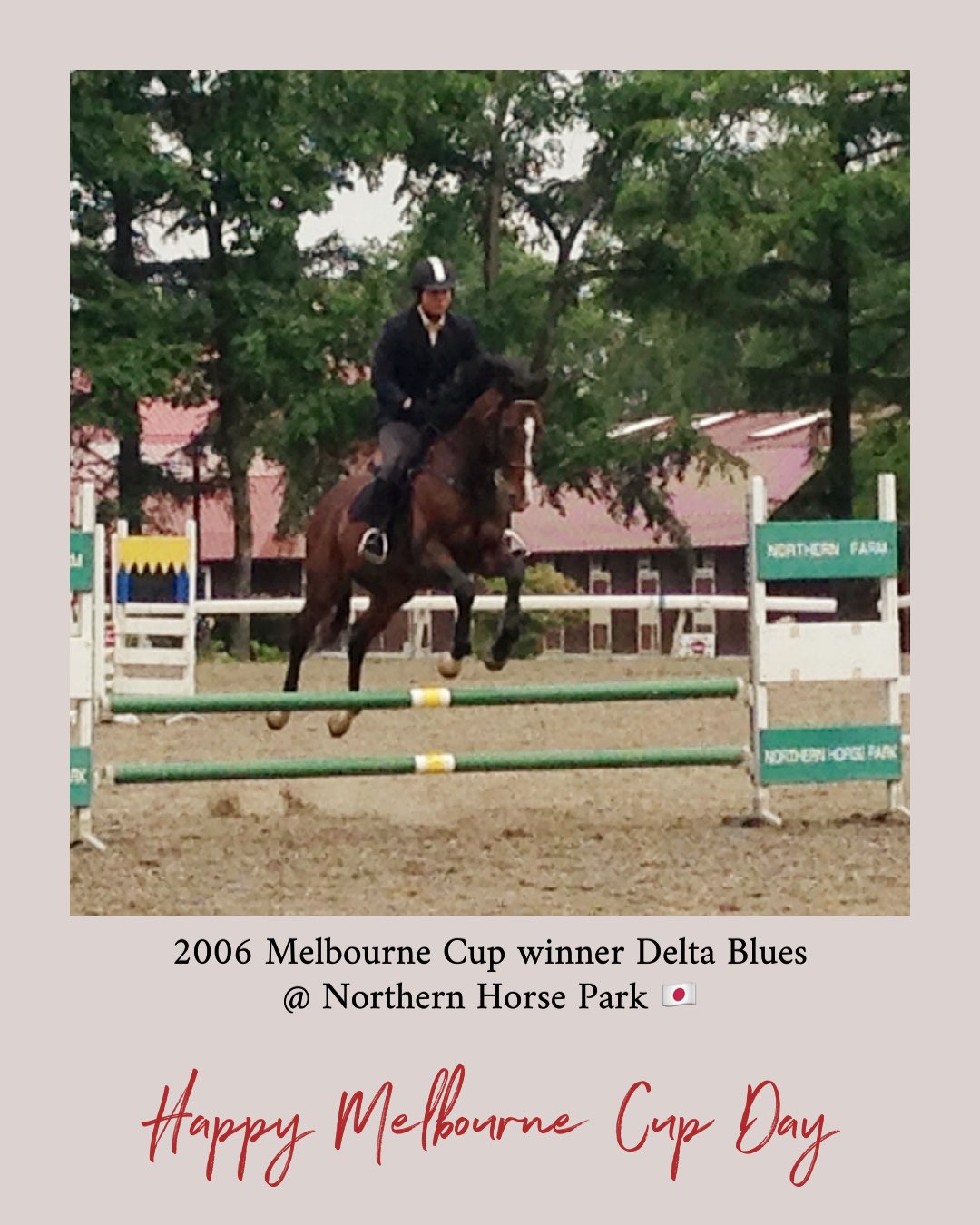 Su Ann Khaw Happy Melbournecup Day May All 24 Race Safe Sound And To Their Best Ability Delta Blues 13 At Northern Horse Park On Show For Visitors Tourists And Enjoying