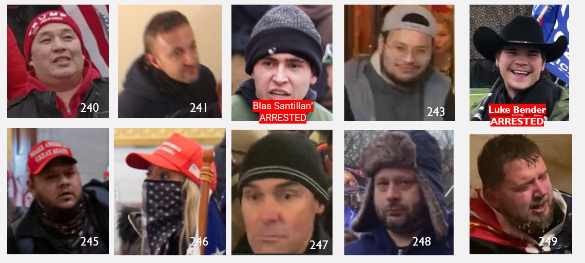 SeditionHunters's tweet photo. They stormed the Capitol! We call them #SeditionInsiders because they were inside the building. Recognize anyone? If so the FBI would like to hear from you. #CapitolAttack  Please note the numbers on these images are NOT FBI numbers https://t.co/LC1xToXPBq https://t.co/jeUtxtBL2J