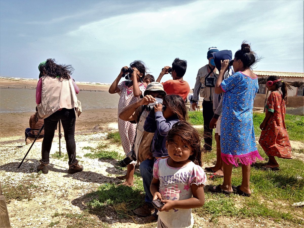 PlayeritosVenezuela tweet media