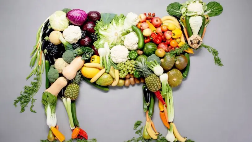 TribunaSonora's tweet photo. En este lunes 1 de noviembre, día en el cual se conmemora el #DiaMundialDelVeganismo, de acuerdo con la docente de la #Unitec, en #Ecatepc, María Fernanda Villafuerte Díaz, las personas veganas tienen un sistema inmune más fuerte ante el #Covid19. ¿Tú qué opinas? 🥦
#Tendencias https://t.co/ZMyd65nDKW