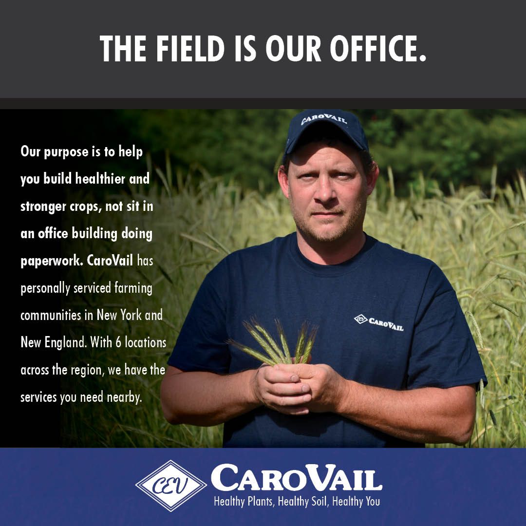 CaroVail's tweet photo. You'll never catch us staring out of an office window

We spend our time out in the field with you, your farm, and your crops, not behind walls and windows.

Meet us in-person by calling 1.800.852.8012 and speak with a Certified Crop Advisor today! https://t.co/gnqajKnxH6