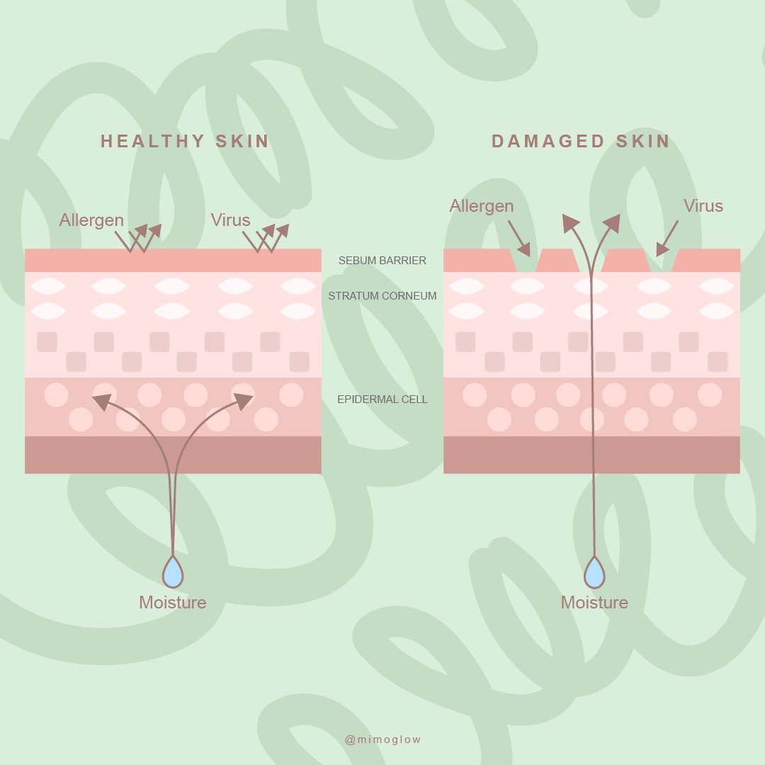 Mimoglow's tweet photo. What happen when our sebum layer is damaged? https://t.co/bD0uaZ75Ef