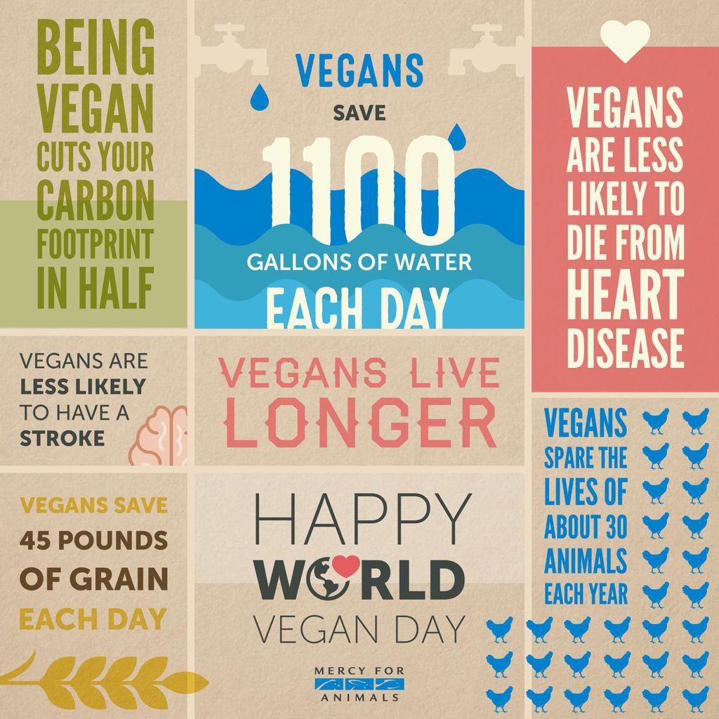 JessPinson's tweet photo. #WorldVeganDay on the 1st day of #COP26 I went vegan 23 yrs ago. Vegan for animals, planet & people. Going vegan reduces greenhouse gases, limits deforestation, diversifies crops, saves water, cleans up waterways, feeds more people, stops sentient beings suffering #ConsiderVegan https://t.co/8MvWMHPRX7