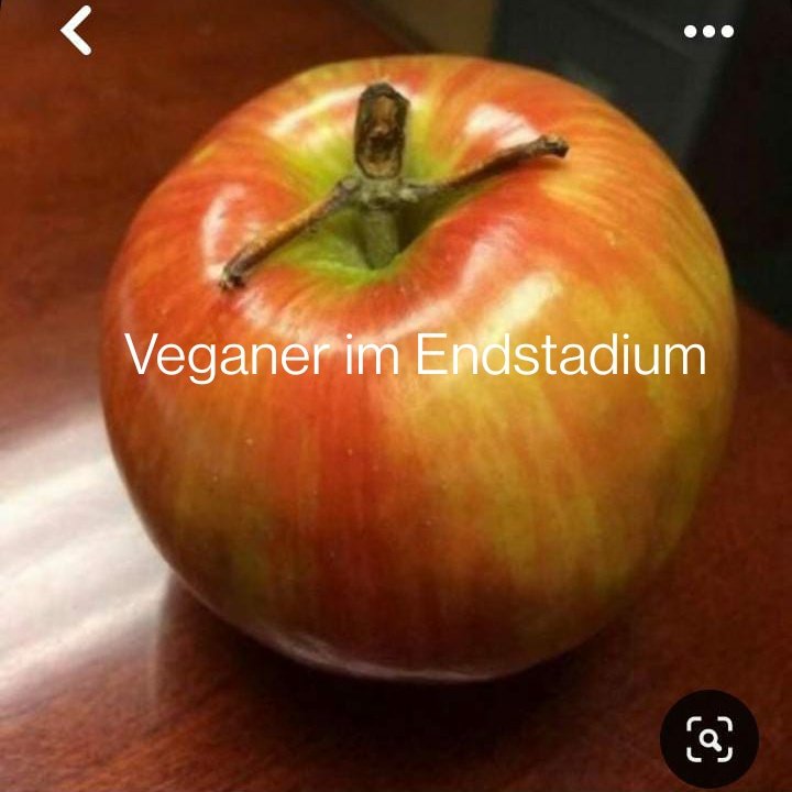 THydreigon's tweet photo. @lucaryaa Darauf erstmal ein Profilbild https://t.co/MWnP8WTnh3
