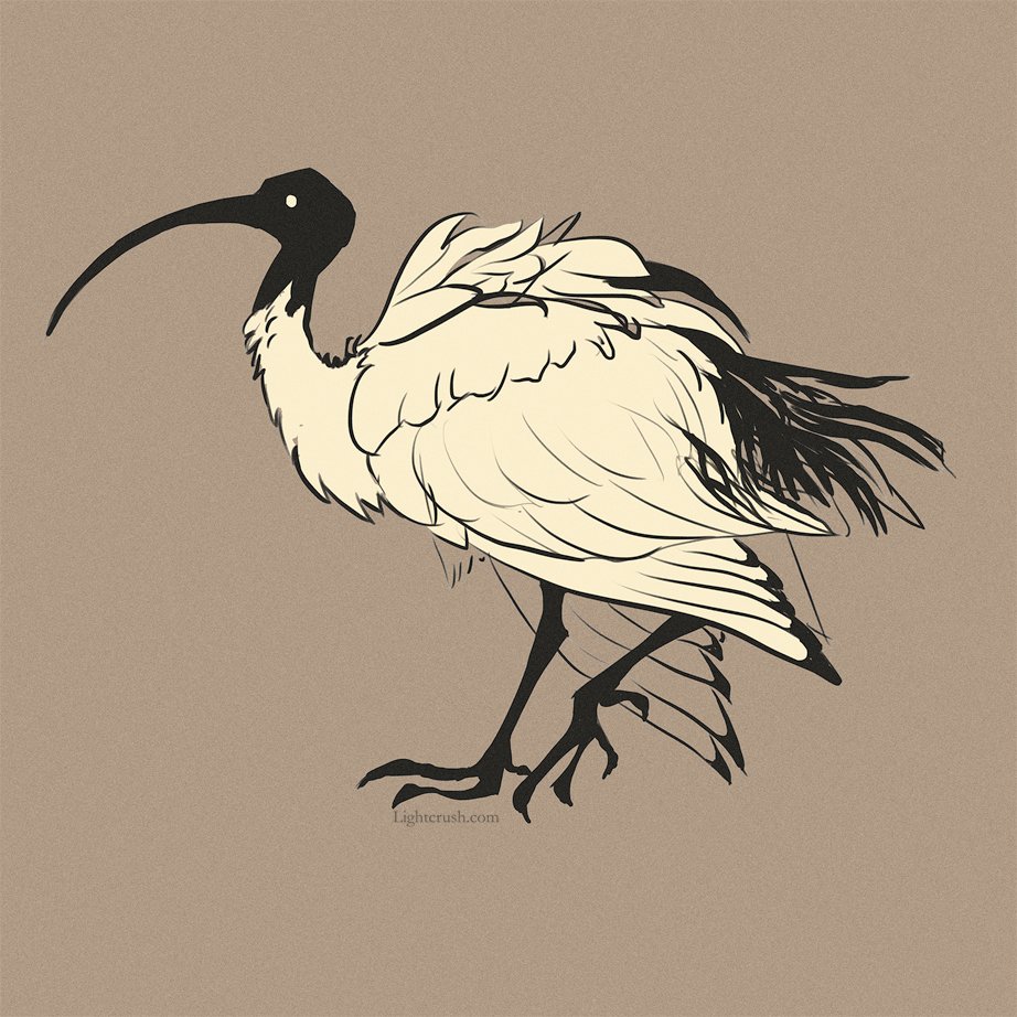 Have you drawn a bird you like recently? I'd love to see!