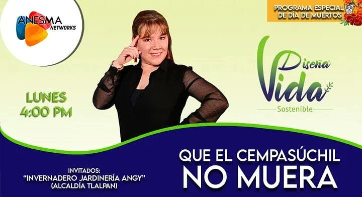 VidaDisena's tweet photo. Hoy a las 4:00 p.m. nuestro programa especial de "Día de muertos".
Por Facebook y YouTube de Anesma Networks.
#DiaDeMuertos #DiaDeTodosLosSantos #Lunes #LunesFestivo #cempasúchil 
#consumoresponsable #consumolocal #Tradiciones #cultura #muertos2021 #CelebrandoLaVida2021 https://t.co/Dksta2XGfv