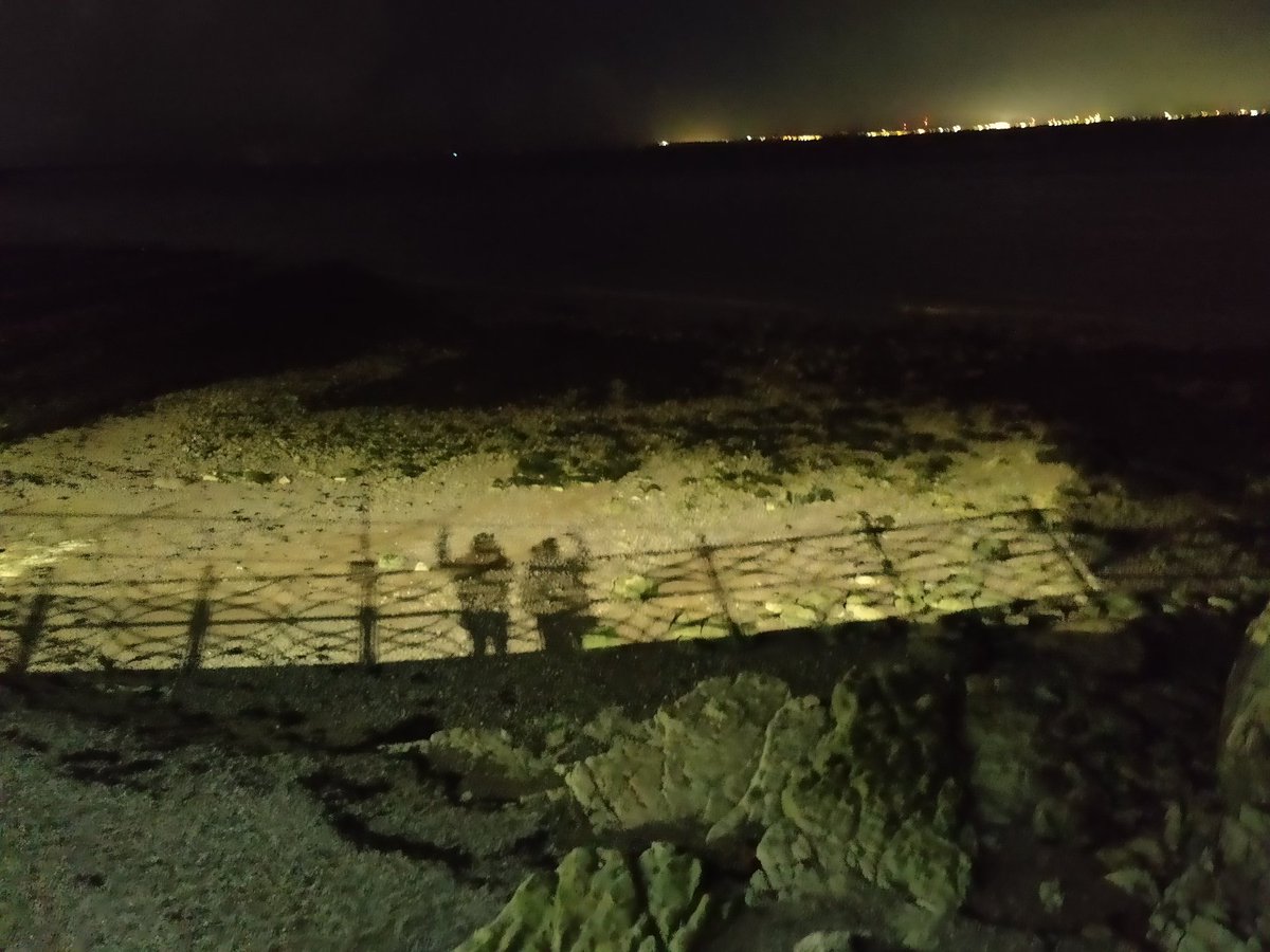 will 🎏 🪁 tweet media