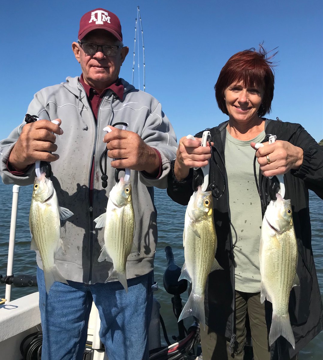BobMaindelle's tweet photo. On 01 Nov., I fished w/ Woody & Peggy Ray of Youngsport, TX, on Lake Belton. This trip yielded 120 fish on MAL Heavy Lures.
Next openings: 7, 8, & 9 Dec.
https://t.co/U43i3AW4EC
Bob Maindelle 254.368.7411
#TexasFish #Mepps #Fitec
#fishingtrip #fishnerd #catchandrelease https://t.co/Lx3iogOOZY