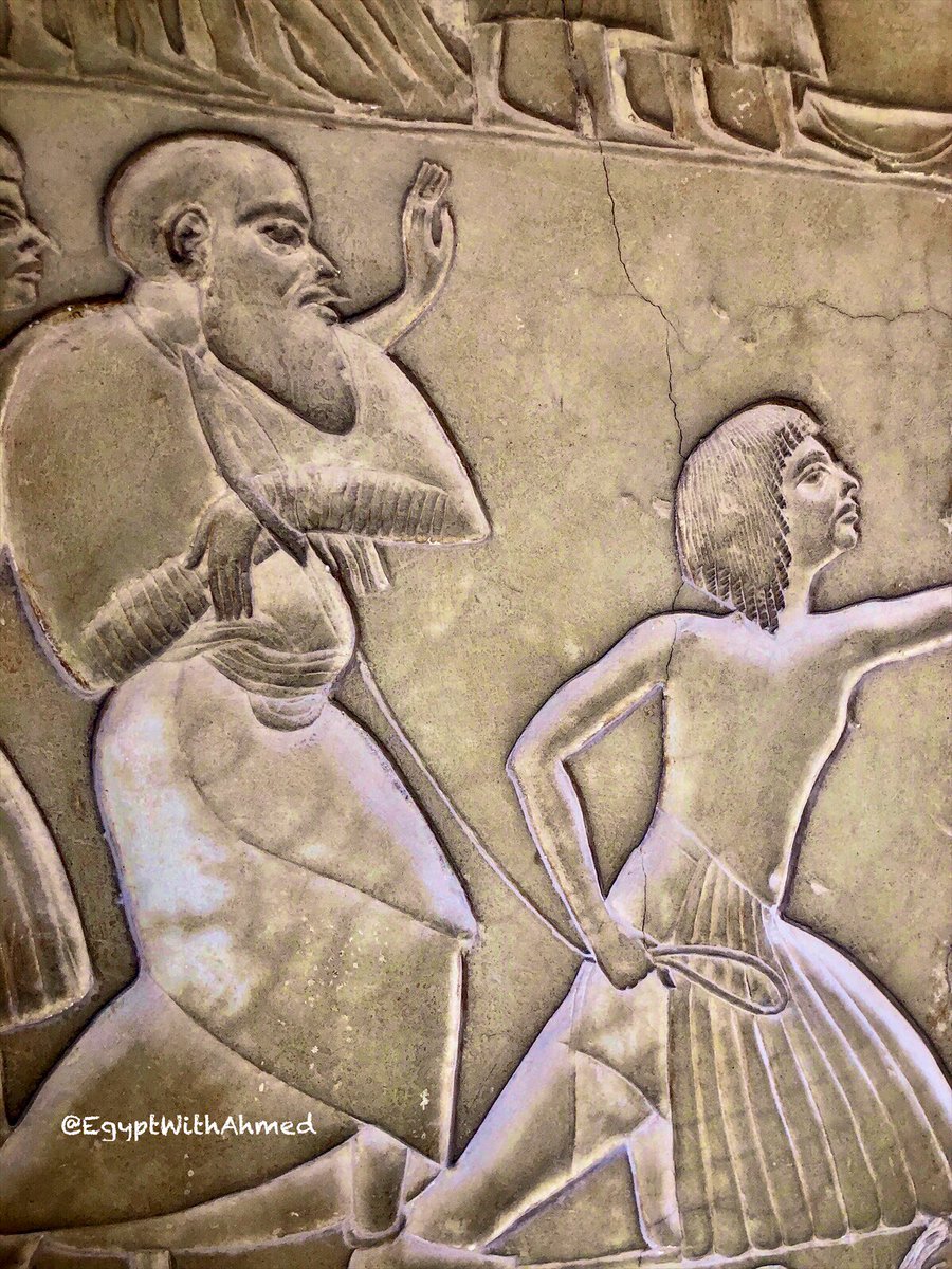 EgyptWithAhmed's tweet photo. قبل العرض علي القائد العام ،، ضابط مصري ماسك أسير ،،
لاحظ الكلبش اللي متكلبش بيه !. 

- سقارة 
- مقبرة حور محب 

Photo by me https://t.co/GA79HSPLPK