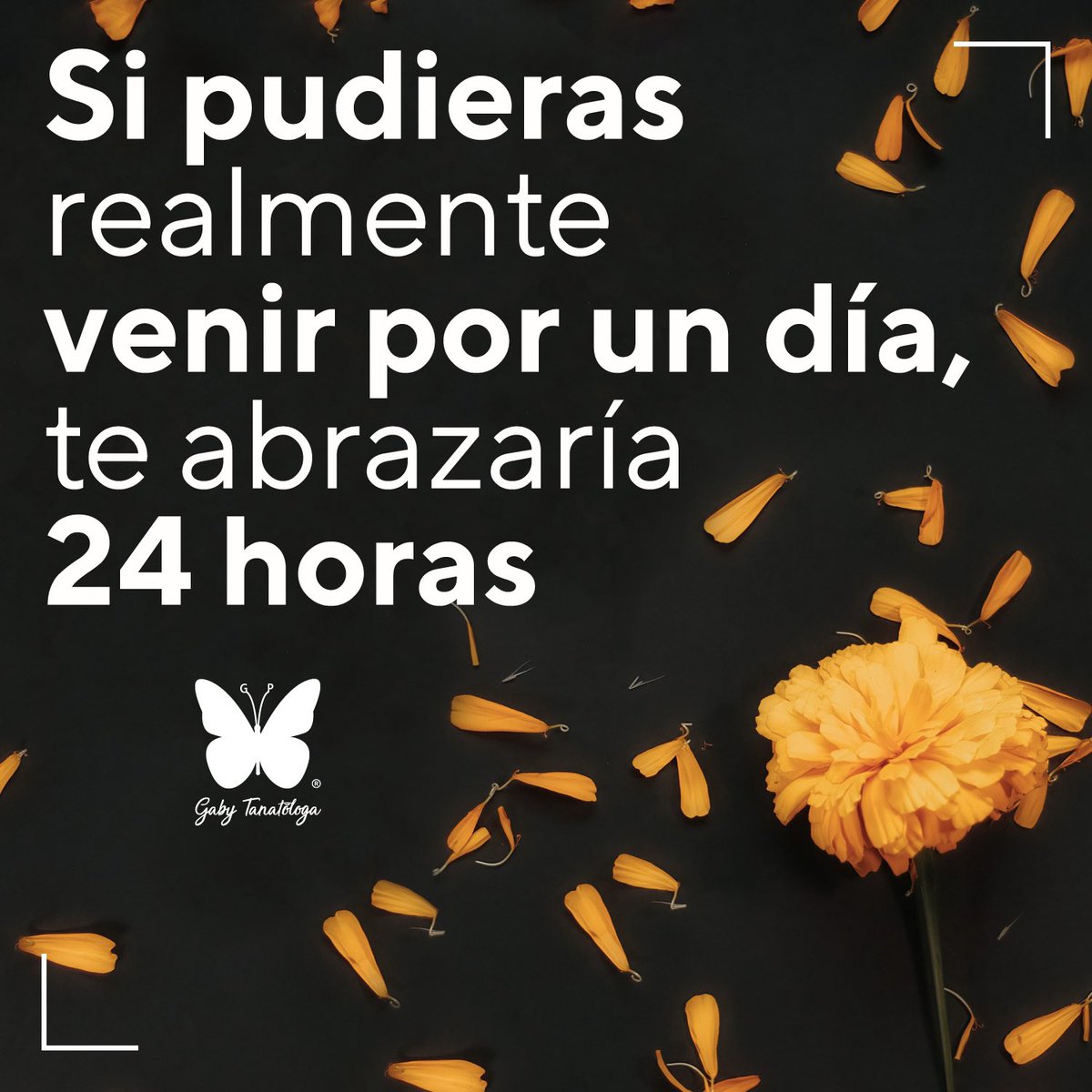 gabytanatologa's tweet image. 