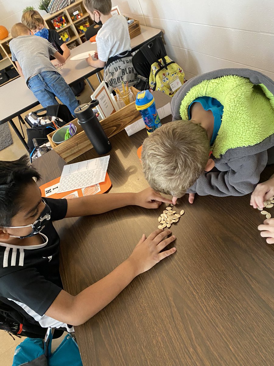 MrsU_1stGrade's tweet photo. Magical Monday Moment: watching my firsties count the seeds in our classroom pumpkin. Look at all those groups of 10!! Well done! 🎃❤️ @HeritageECS #WEareLakota #pumpkinscience #fallfun https://t.co/nl20qshDfi