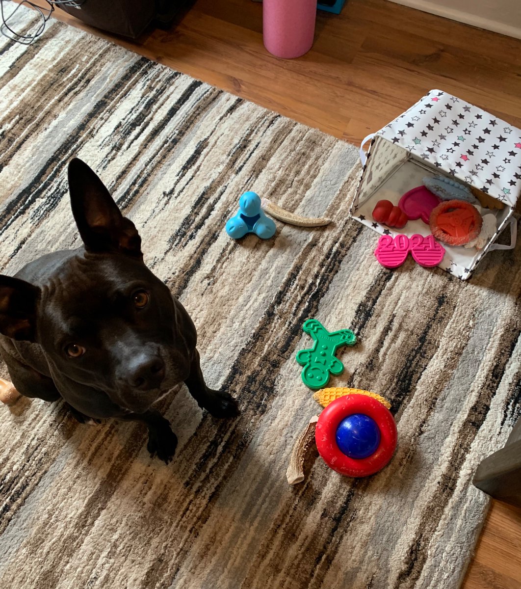 Erica. 🕶 tweet media