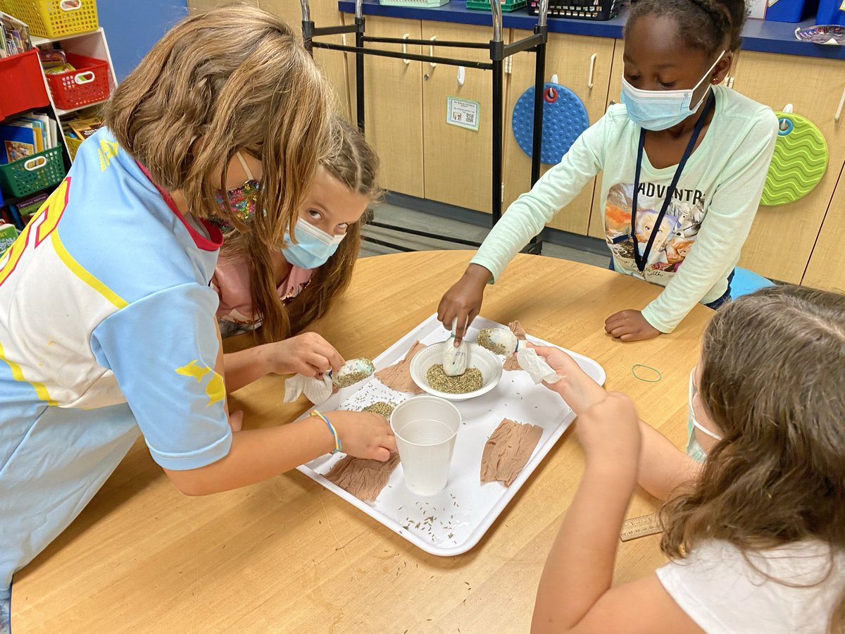 cherrykidslearn's tweet photo. Growing our grass heads! #cherrykidsrock #MysteryScience https://t.co/p1la4hgP5o