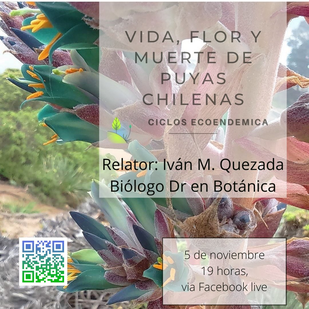LaPaulaNOmas's tweet photo. por que algo nos caracteriza a Iván y a mí es que nunca cachamos las fechas.
Así que se mueve la charla para el viernes, transmisión por facebook live y youtube. Si alguien nos da una mano para mejorar la transmisión nos habla ☺️. @nemu8 @elbo_tanico @PCGuerrero @PolymirII https://t.co/MOdySXVWJR