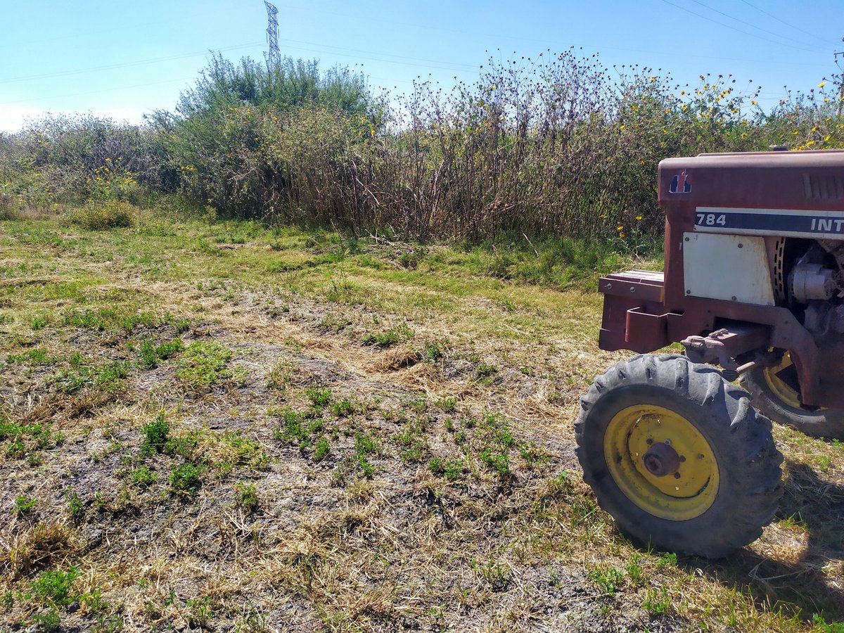 MoraimaGonzlez7's tweet photo. La formación de bordos en alfalfa en la parte final del tendido de riego, es básico para obtener la lámina de riego recomendada. El antes y   después,
@MUAC_GTO  @SDAyR_GTO  @DesdeGto  @CAlbertoGtzMtz https://t.co/zw5uDUX5bM