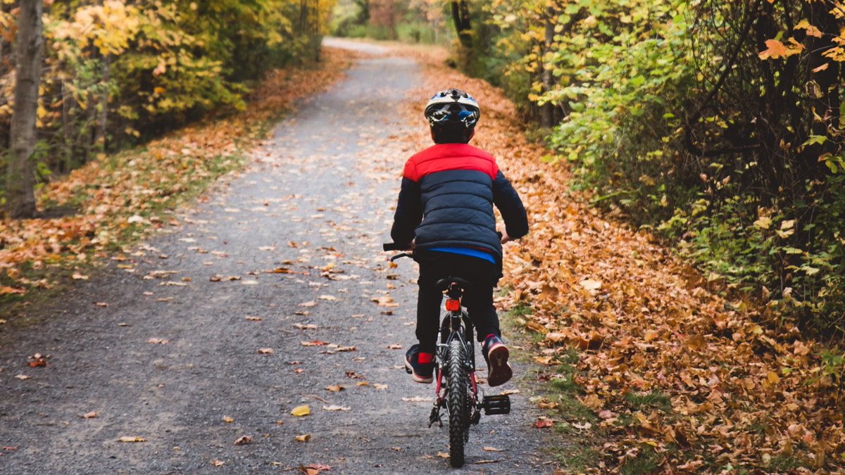 EMCHalton's tweet photo. #Walktober may be over but don't let that stop you from actively traveling to school all November long! #StayActive #ActiveHalton https://t.co/VfSROco3Xs