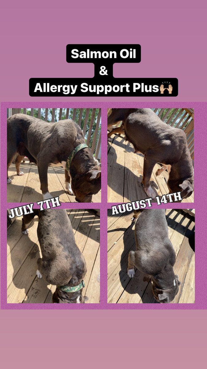 Playing a little catch up! 

June looks amazing🤩 
Our liquid gold is a game changer🙌🏼

shop.pawtree.com/totherescue/pr…