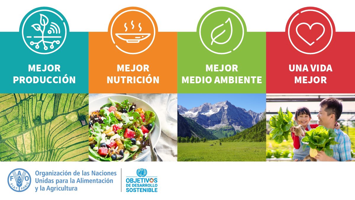FAOAmericas's tweet image. 📍El Marco estratégico de la @FAO busca respaldar la #Agenda2030 mediante la trasformación hacia #SistemasAgroalimentarios eficientes, inclusivos, resilientes y sostenibles. 

➡️bit.ly/2TAb4cX
