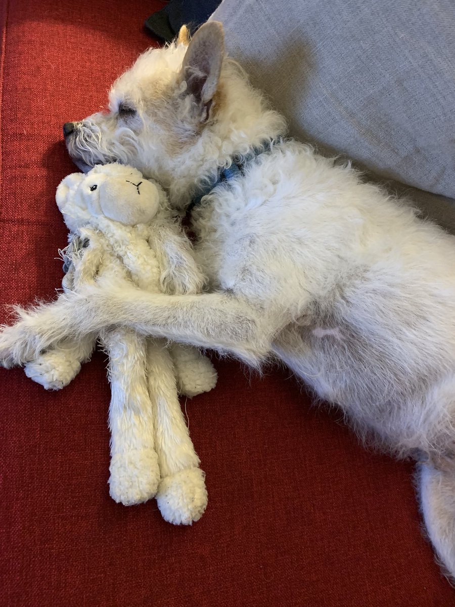 starpinto's tweet photo. @jannarden Pedro ❤️ https://t.co/Og39WhgGeG