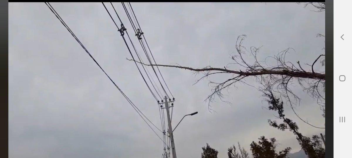 Colina Informado tweet media