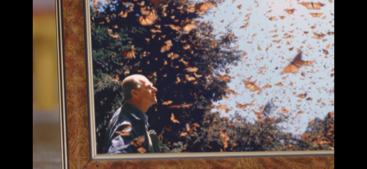 En su mensaje a la <a href="/COP26/">COP26</a>, la reina Elizabeth II mostró una foto de su esposo rodeado de mariposas monarcas en Michoacán 🇲🇽. 
Los bosques en donde se reproduce la mariposa sufren la deforestación y el cambio climático. Sin acciones, pronto una fotografía así será imposible #COP26