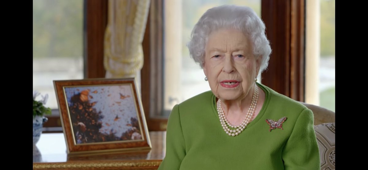 William Jensen-Díaz tweet media