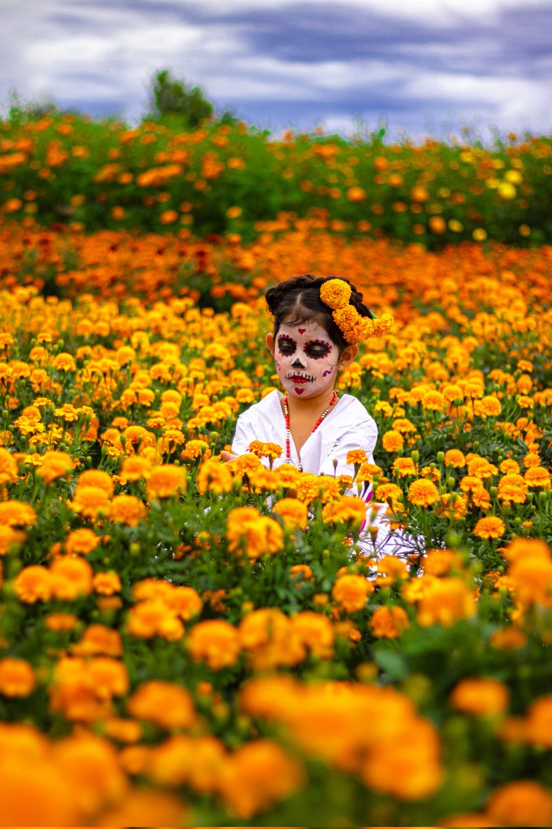 QueOaxaca's tweet photo. En #Oaxaca llevamos desde pequeños y en el corazón las #tradiciones que nos enseñaron los que ya se han adelando. 
#CatrinaBetaceña 
#Oaxaca 
#DiaDeMuertos
#DiaDeTodosLosSantos
📸 Edgar Martell https://t.co/whLazcWFsh