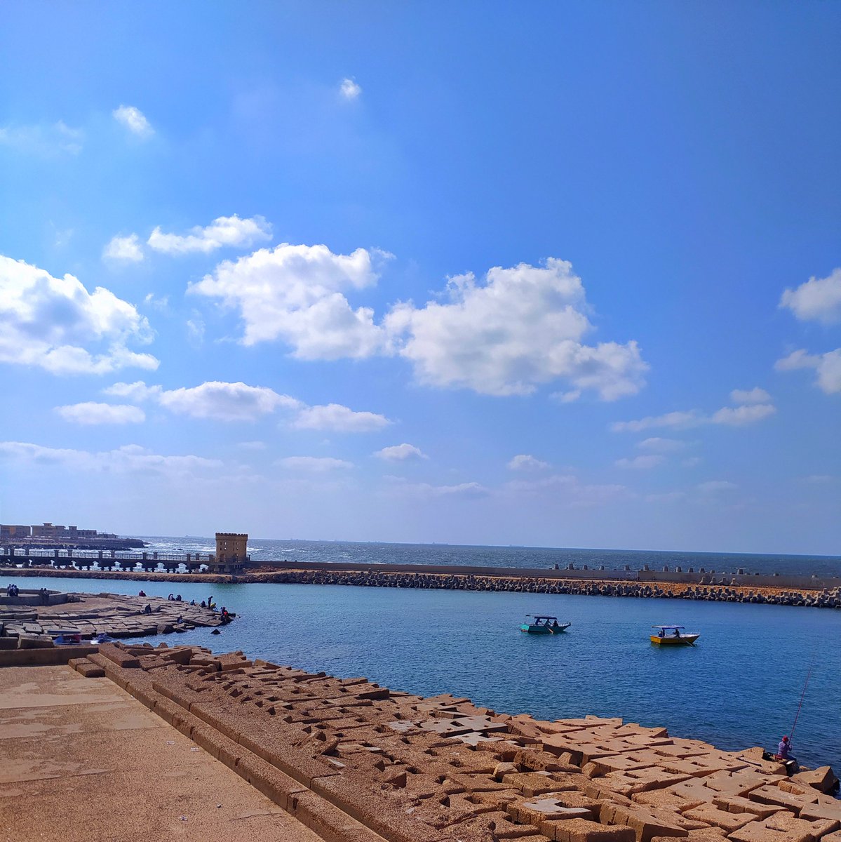 El5ateeb1010's tweet photo. #NewProfilePic https://t.co/B73HKZgNsc