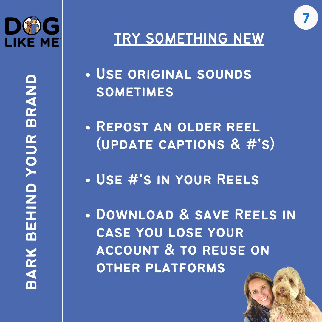 DogLikeMe's tweet photo. Join our FREE Live Masterclass Nov. 3rd to learn how you can use IG Reels to build deeper connections with followers and attract new followers to grow your account. Reg in the link below! 
https://t.co/8OuGcf65ip
#MarketingMonday #instagram #instagood https://t.co/5JVNOjtu3p