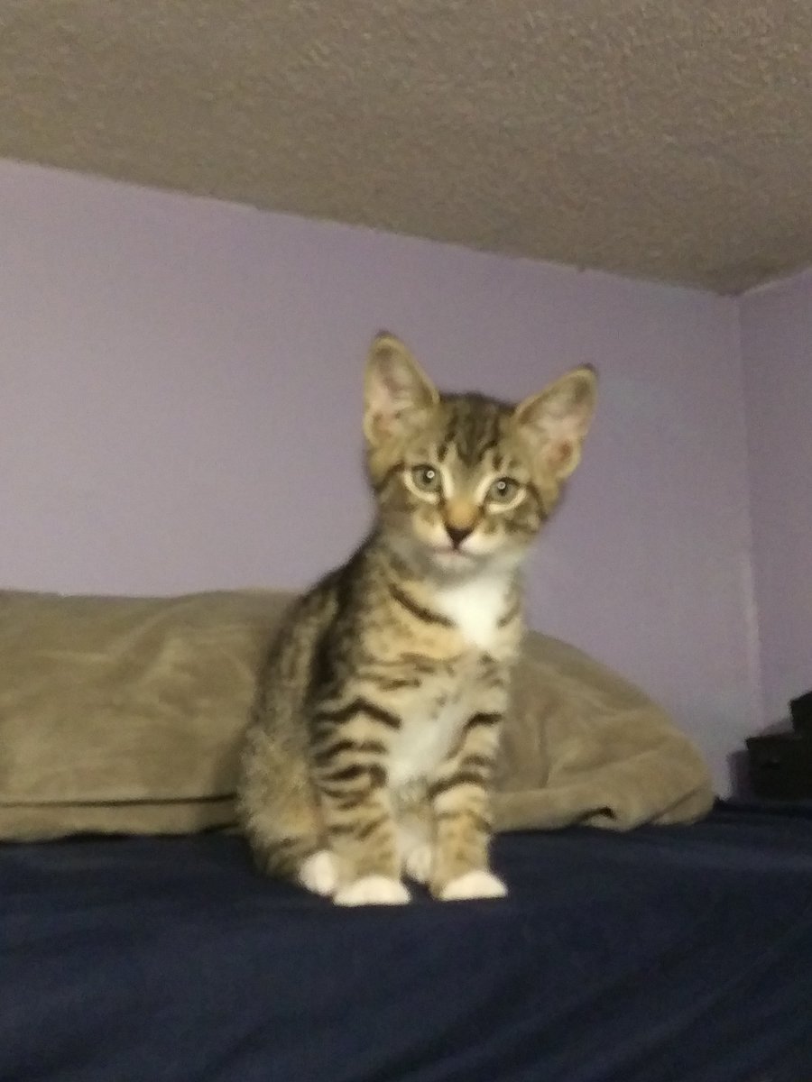 smackies tweet media