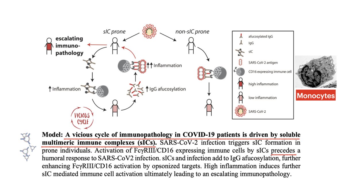 Starting therapeutic heparin LATE in severe COVID-19 is akin to starting IVIg LATE in MIS-C. Both bind abnormal immune complexes that DRIVE illness Do we wait for MIS-C to escalate to ICU w/ multiorgan failure, THEN start IVIg? It will be pointless by then. Futile. Harmful.