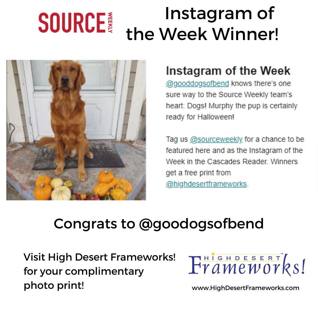 HDFRAMEWORKS's tweet image. The Snickers might be gone but Murphy will always be with you!  Congrats to @gooddogsofbend with your second Instagram of the Week winner. Thanks to @sourceweekly for their great contest!  We will DM you when your print is ready  bit.ly/ComeFrameWithUs #inbend #IGWSourceWeekly