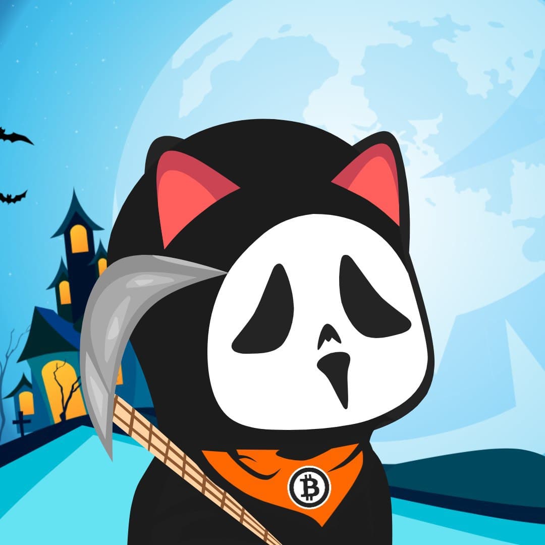 KishuBTC's tweet photo. 🎃OUR HALLOWEEN EVENT IS ENDING IN 24 HOURS

⏰There are currently 14 Halloween Kishu NFTs left for sale. (#6 Has been sold)

Link: https://t.co/4JwjO9FiDk

END TIME: 10PM UTC November 2nd

Any NFT that is NOT sold will be PERMANENTLY DELETED from our collection❌

#NFT #KISHU https://t.co/1GfbWV3RF8