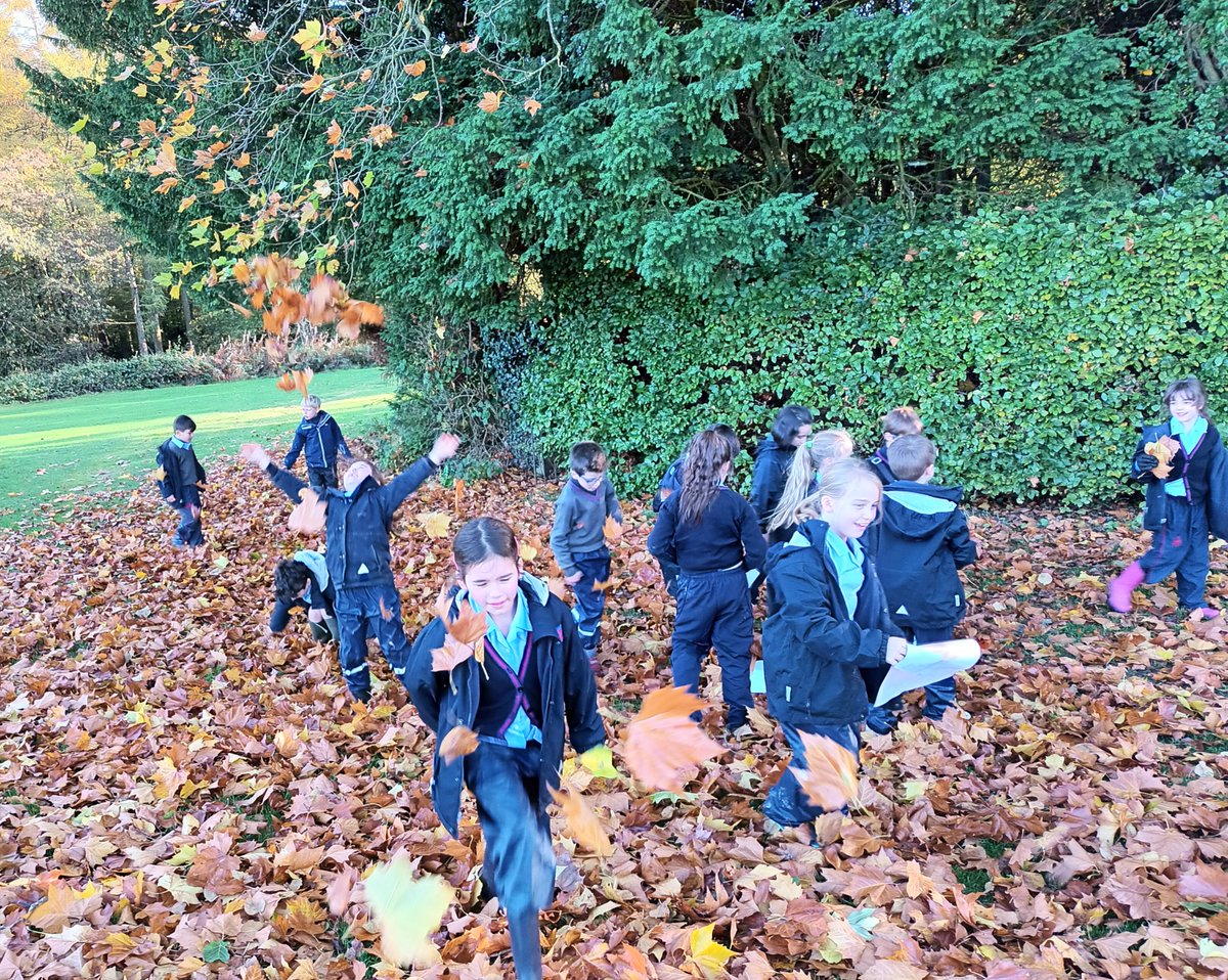 OPSForest's tweet photo. Fun exploring Autumn https://t.co/rUtfHrIRB2
